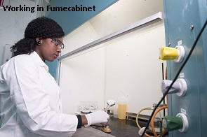lab