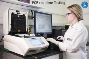 pcr